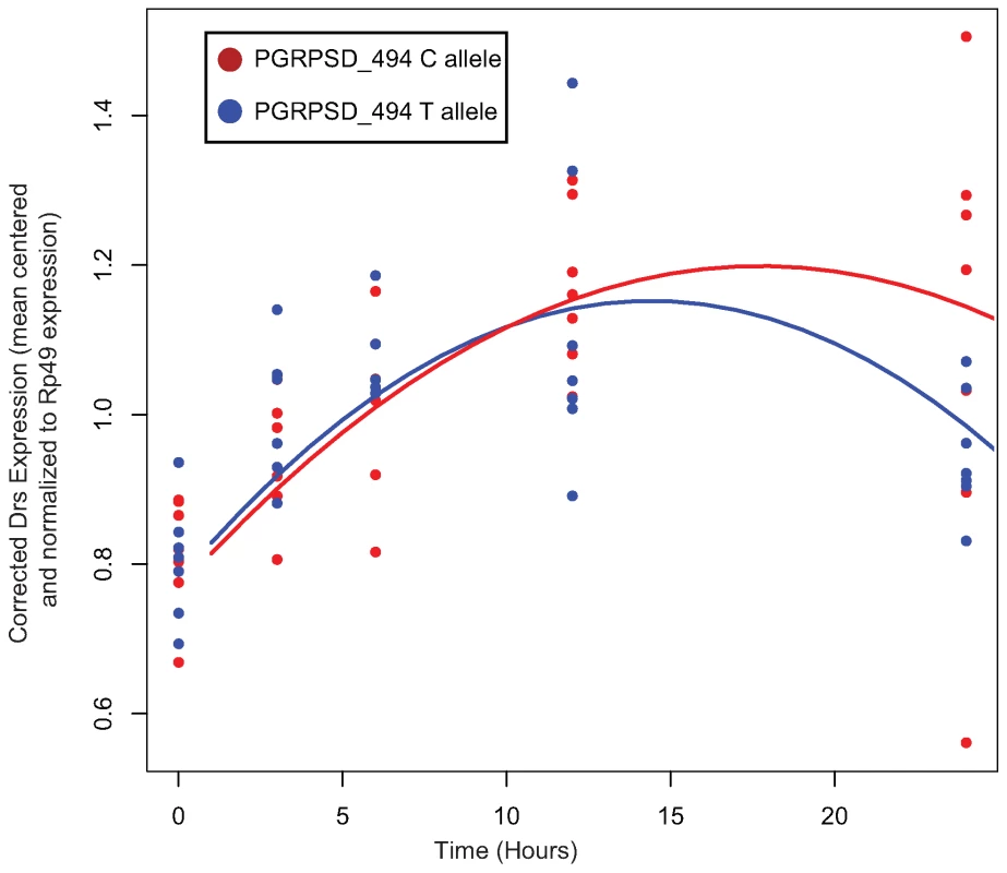 Normalized expression of <i>Drs</i> after infection with <i>E. faecalis</i>.