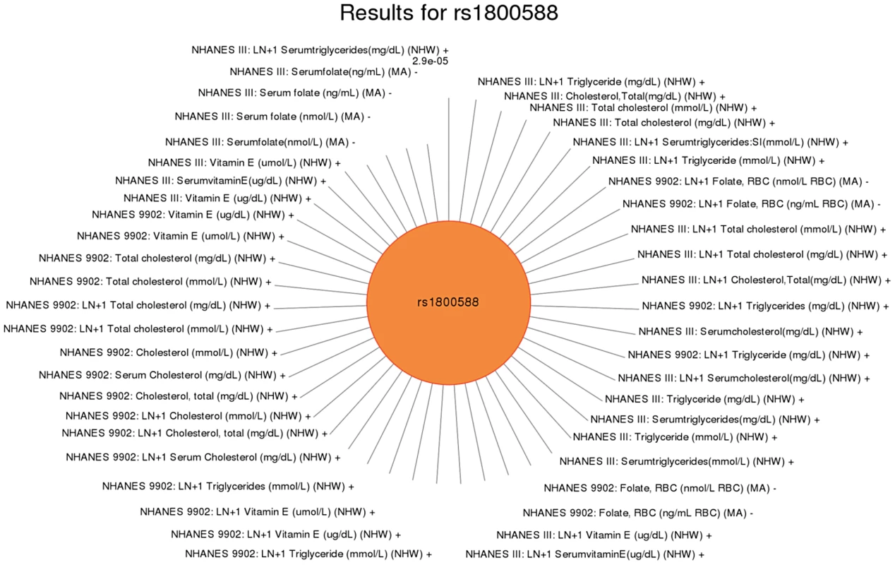 Sun plot of (p<0.01) results for <i>LIPC</i> rs1800588, coded allele T.