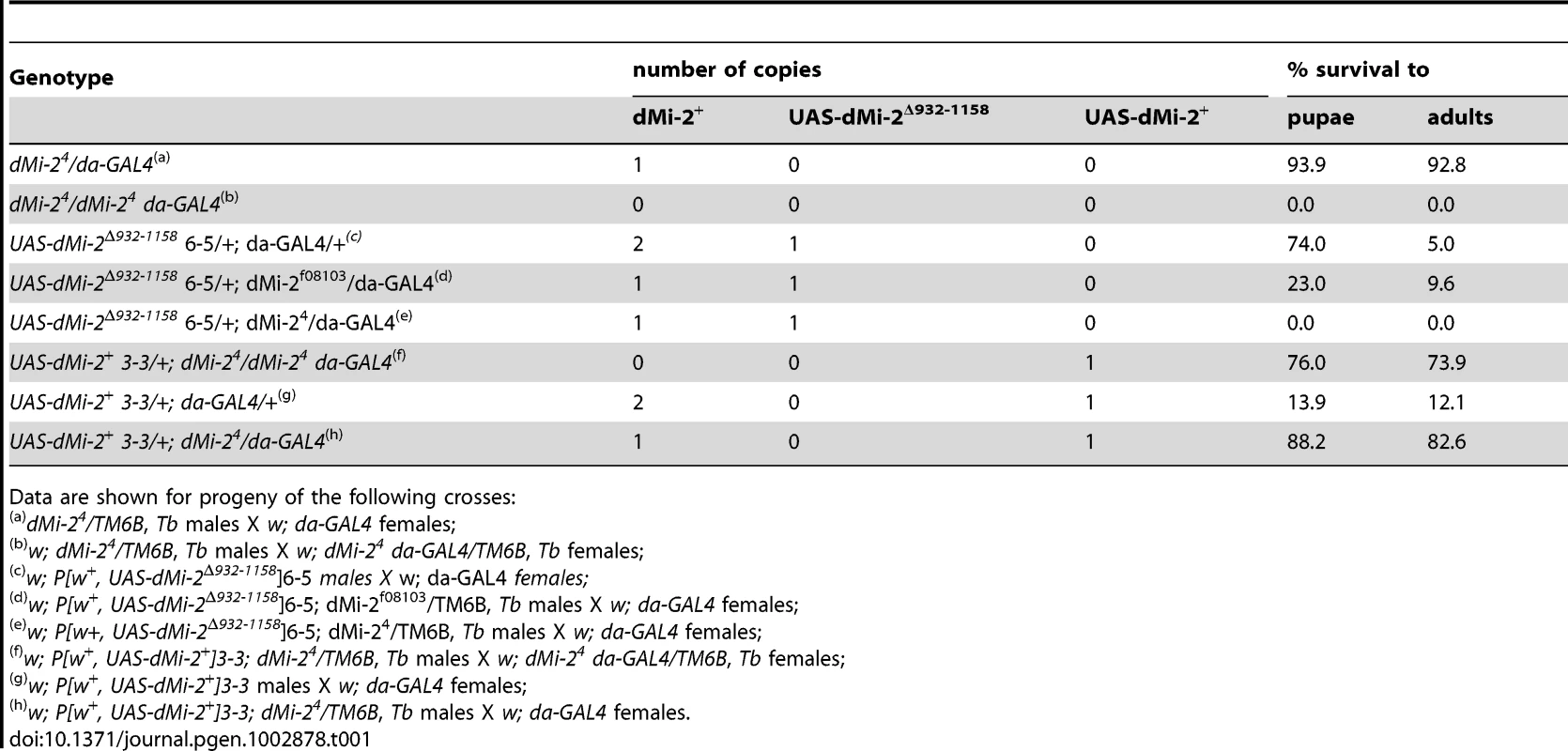 Analysis of GAL4-regulated transgenes.