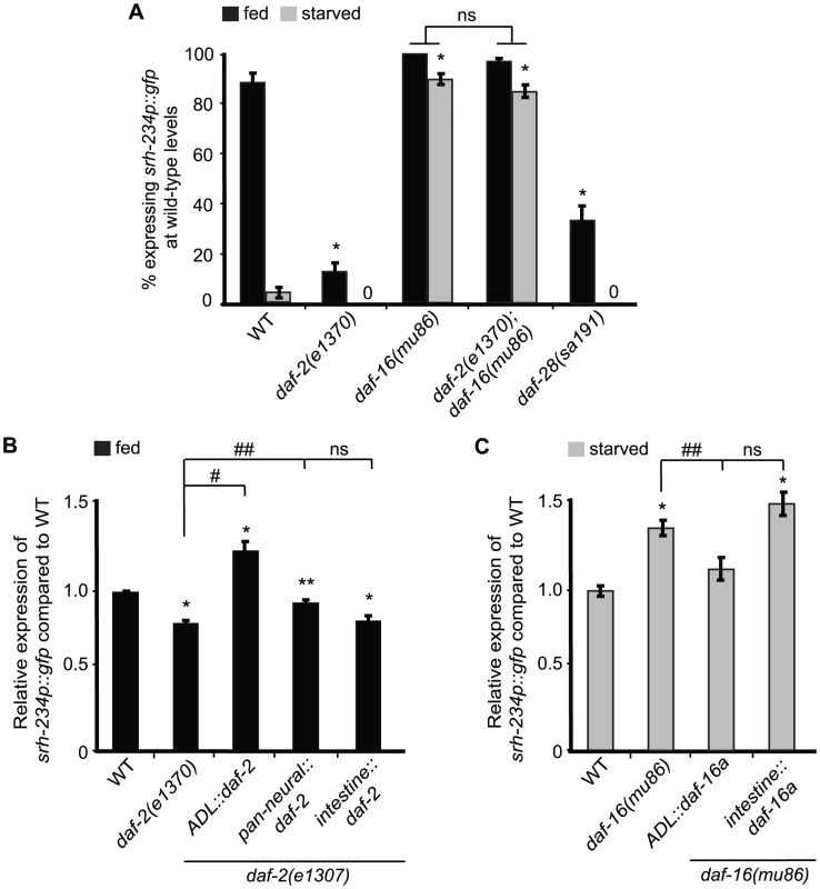 <i>daf-2</i> and <i>daf-16a</i> are required in ADL, but not in the intestine, to regulate <i>srh-234</i> expression.