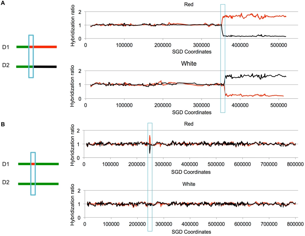 Examples of LOH events as detected by SNP microarrays.