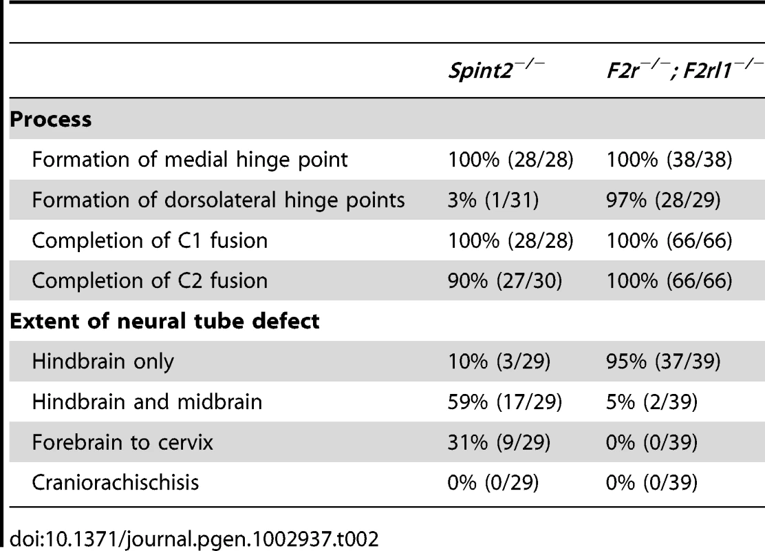 Comparison of morphologic features of neural tube defects observed in <i>Spint2<sup>−/</sup></i><sup>−</sup> and <i>F2r<sup>−/−</sup>; F2rl1<sup>−/−</sup></i> mice.