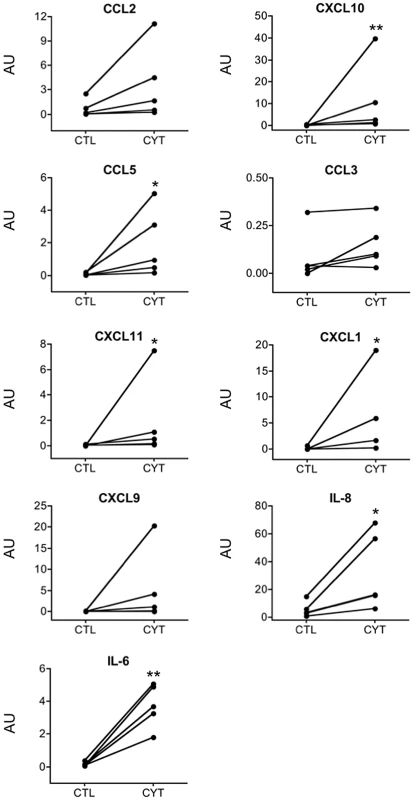IL-1β+IFN-γ induce chemokine and cytokine protein expression in human islets.