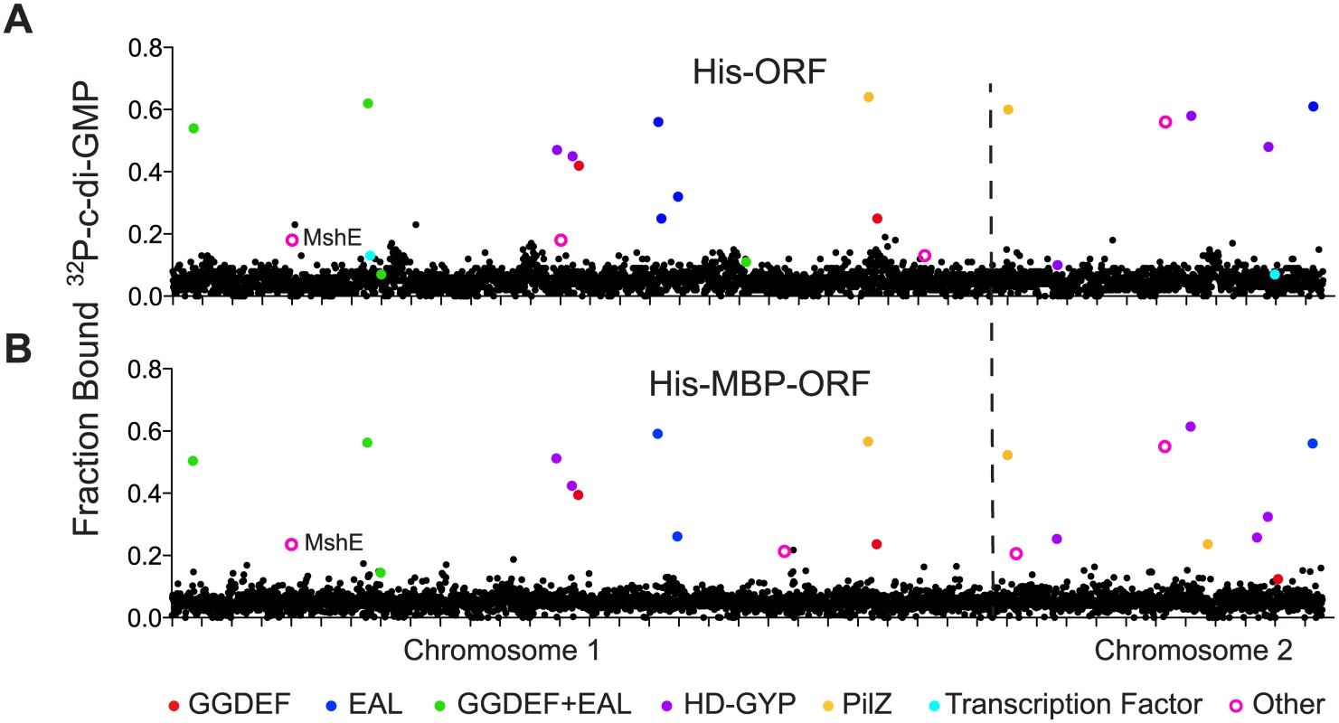 Primary DRaCALA screen of <i>Vibrio cholerae</i> ORF libraries.