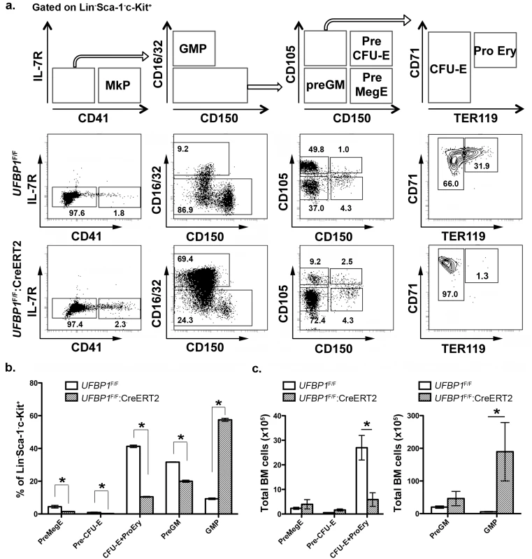<i>UFBP1</i> deficiency impairs lineage development of erythroid progenitors.