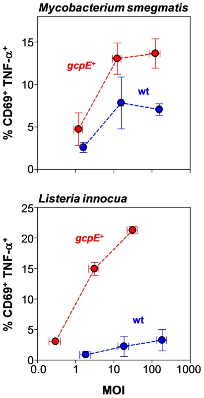 Vγ9/Vδ2 T cells show enhanced responses to phagocytosed bacteria that overproduce HMB-PP.