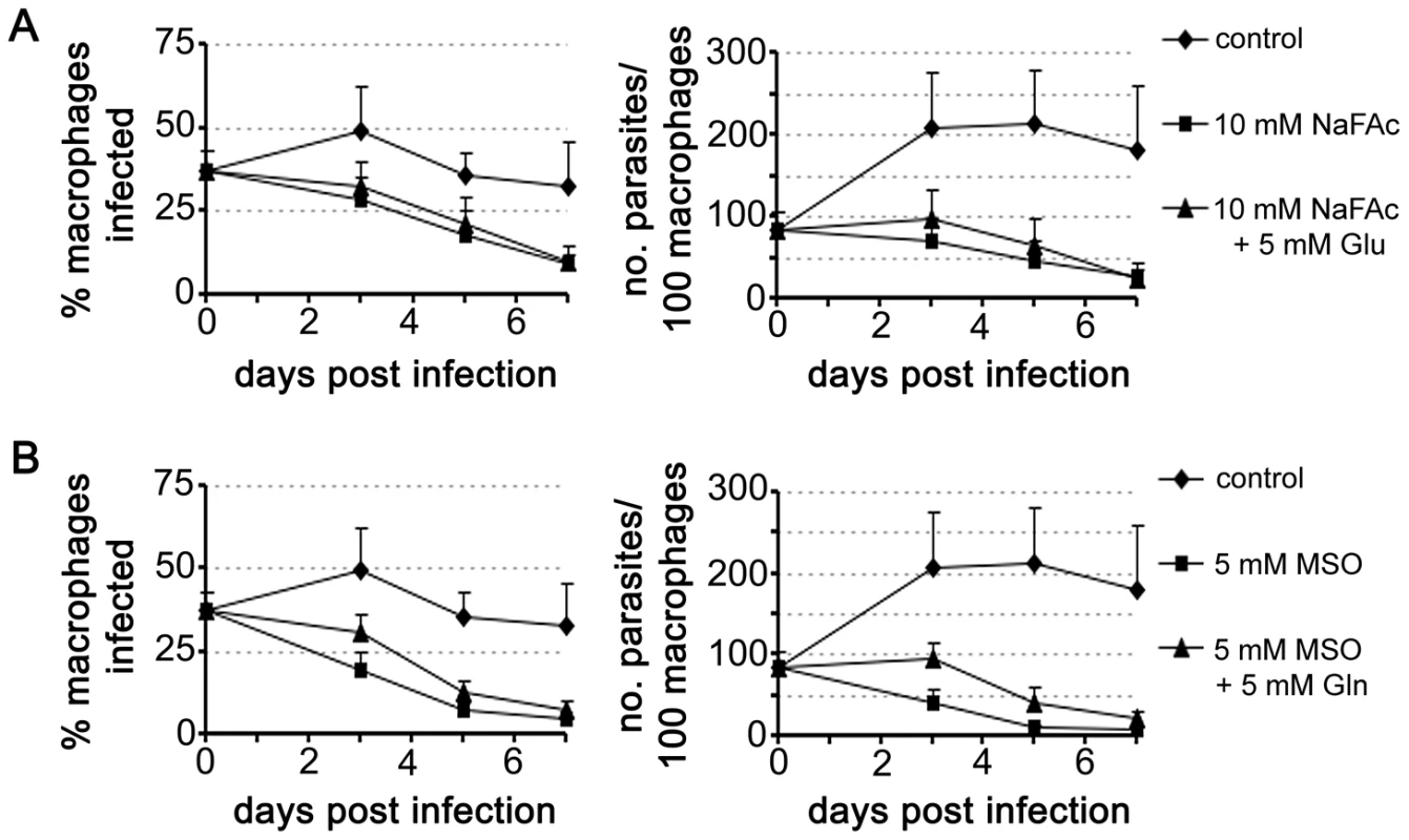 Intracellular <i>L. mexicana</i> amastigotes are dependent on TCA cycle function and glutamate/glutamine synthesis.