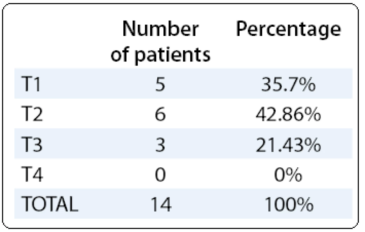 T stage of the gallbladder cancer.