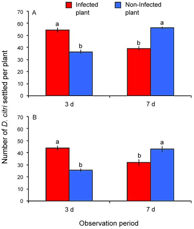 Settling preference of combined non-infected and Las-infected <i>D. citri</i> on Las-infected versus non-infected citrus plants.