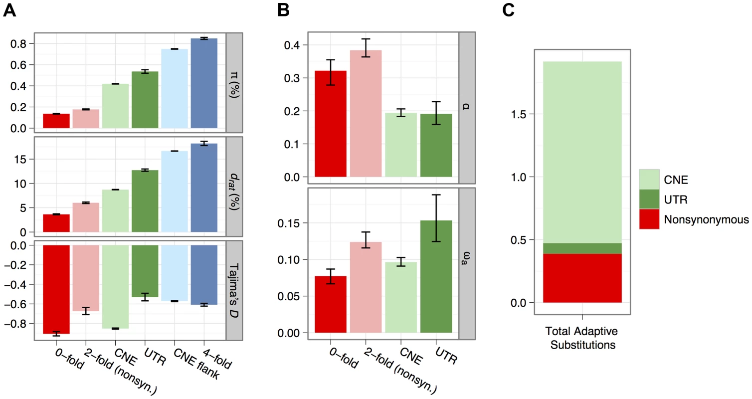 Estimates of diversity (<i>π</i>), divergence to rat (<i>d<sub>rat</sub></i>) and Tajima's <i>D</i> for all categories of sites analysed for non-CpG-prone sites (A).