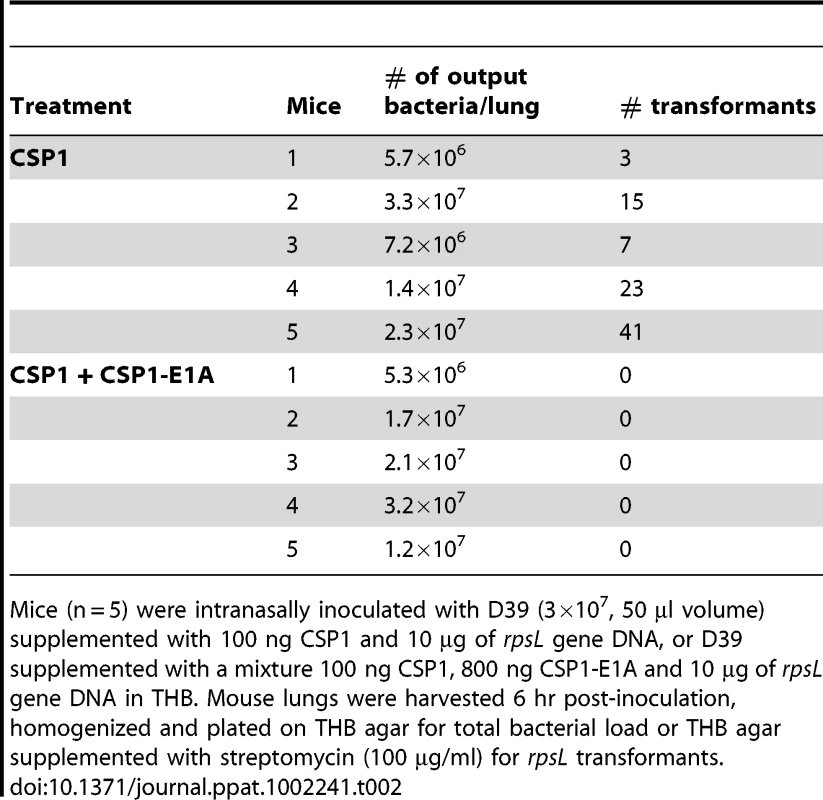 CSPP1-E1A inhibits the ability of <i>S. pneumoniae</i> to acquire the <i>rpsL</i> streptomycin resistance gene in mouse lungs during acute pneumonia.