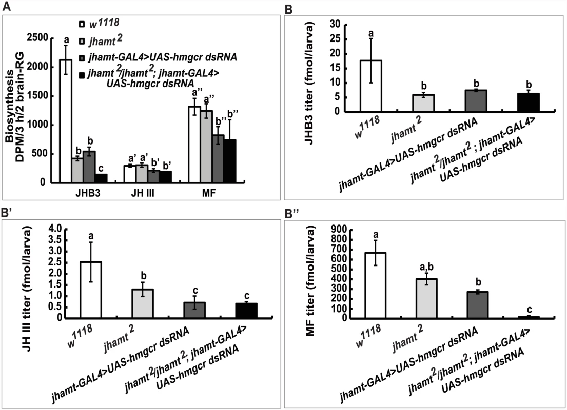 Reduction of <i>hmgcr</i> expression in the CA of <i>jhamt</i> mutant dramatically decreases biosynthesis and titers of the three sesquiterpenoids.