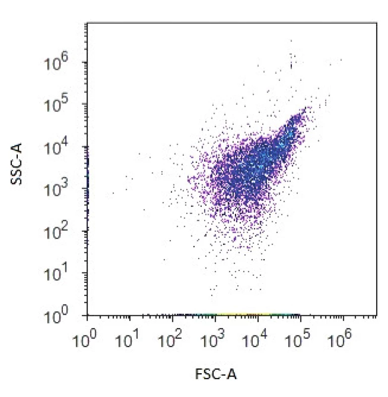 Dvouparametrový dot plot zobrazující bakteriální populaci na základě přímého (FSC) a bočního (SSC) rozptylu světla
Figure 1. Two-parameter dot plot representing the bacterial population based on forward scatter (FSC) and side scatter (SSC)