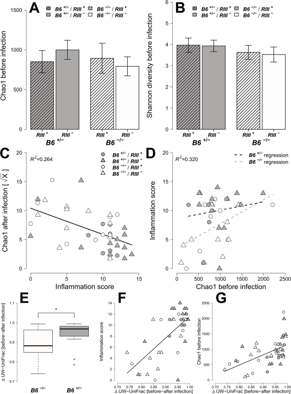 Analysis of microbial alpha diversity among genotypes and their association with intestinal inflammation.