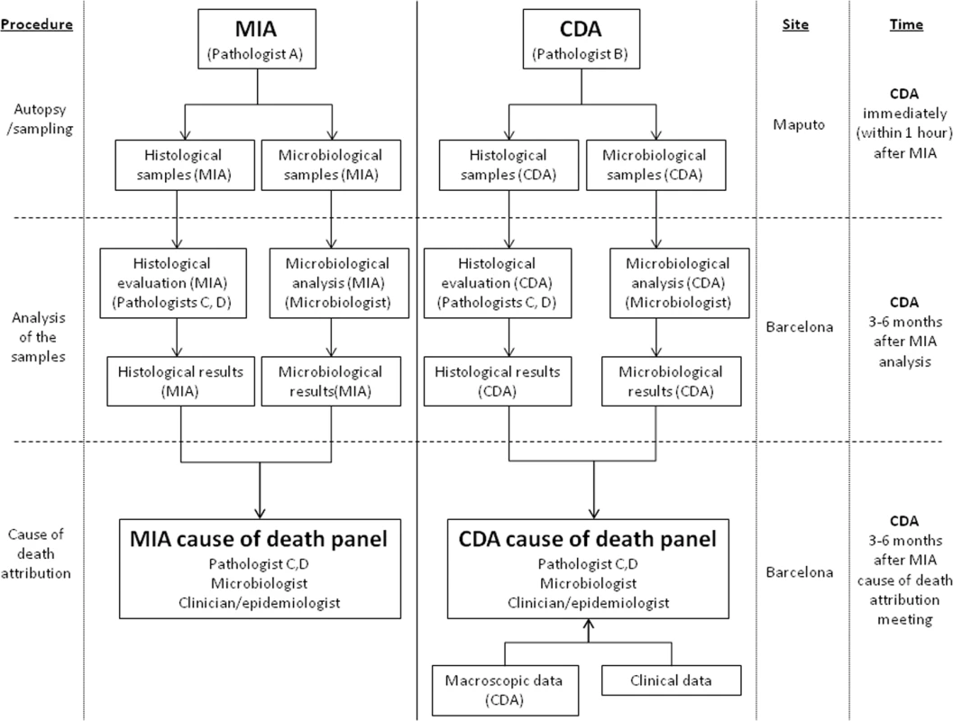 Overall study plan showing the procedures performed in the study, the investigators involved, and site and timing of each procedure.