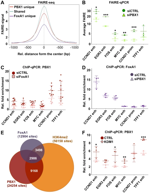 PBX1 is an independent pioneer factor required for chromatin openness whose binding is favored by H3K4me2.