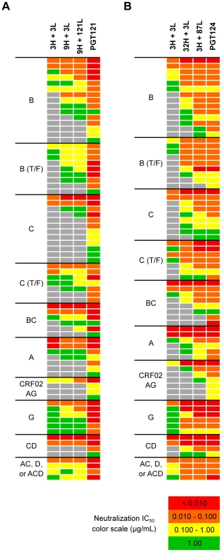 Selected heavy and light chain clones were paired and tested for neutralization breadth and potency on a cross-clade 6-virus panel.
