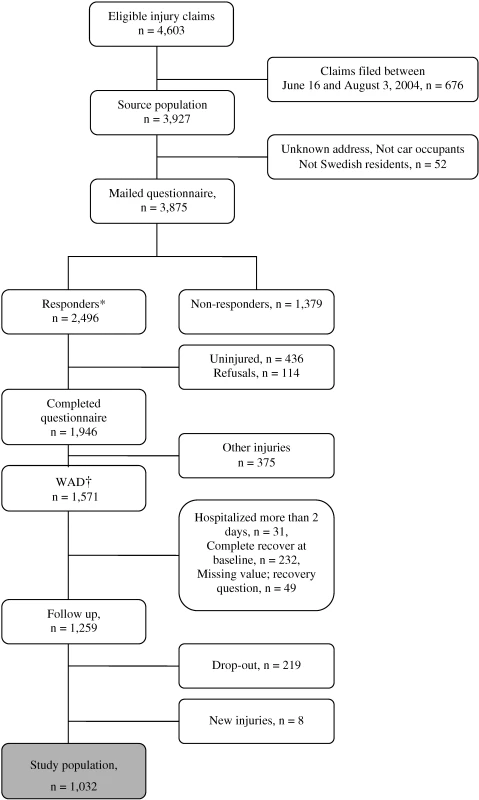Flowchart of the Inclusion Process for the Study