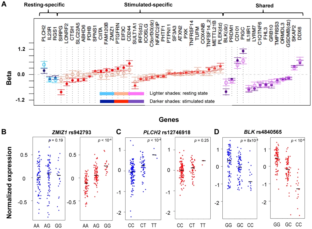 State-specific effects of eQTL SNPs.