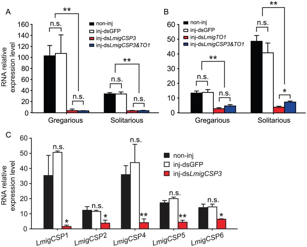 The effects of RNAi knockdown of <i>LmigCSP3</i> and <i>LmigTO1</i> genes on their expression levels.