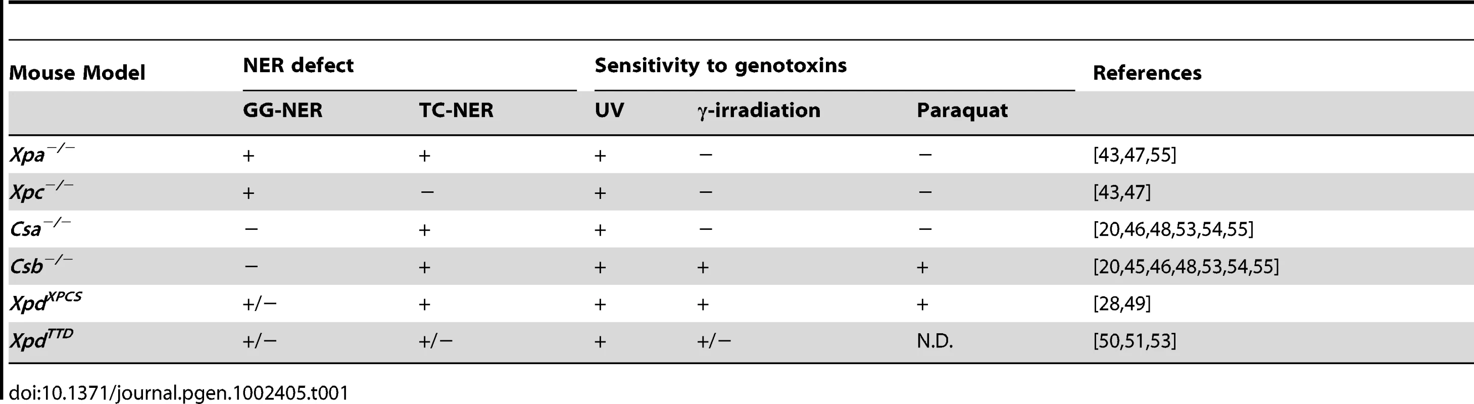 NER defect and sensitivity to genotoxins of embryonic fibroblasts isolated from NER–deficient mouse models.