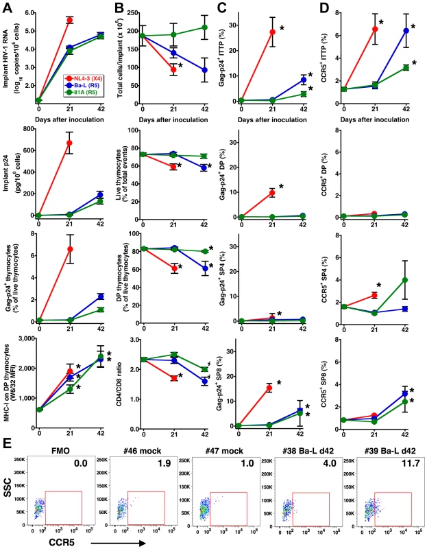 HIV infection is associated with increases in CCR5 expression and detection of R5 HIV in thymocyte progenitors.