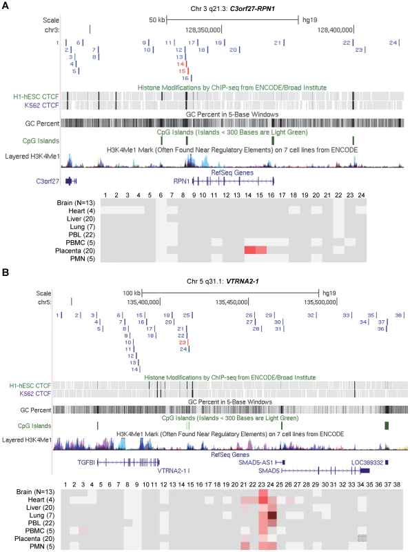 Long-range methylation mapping of the two imprinted regions, <i>C3orf27-RPN1</i> and <i>VTRNA2-1</i>, in 8 types of human tissues, shows small discrete DMRs.
