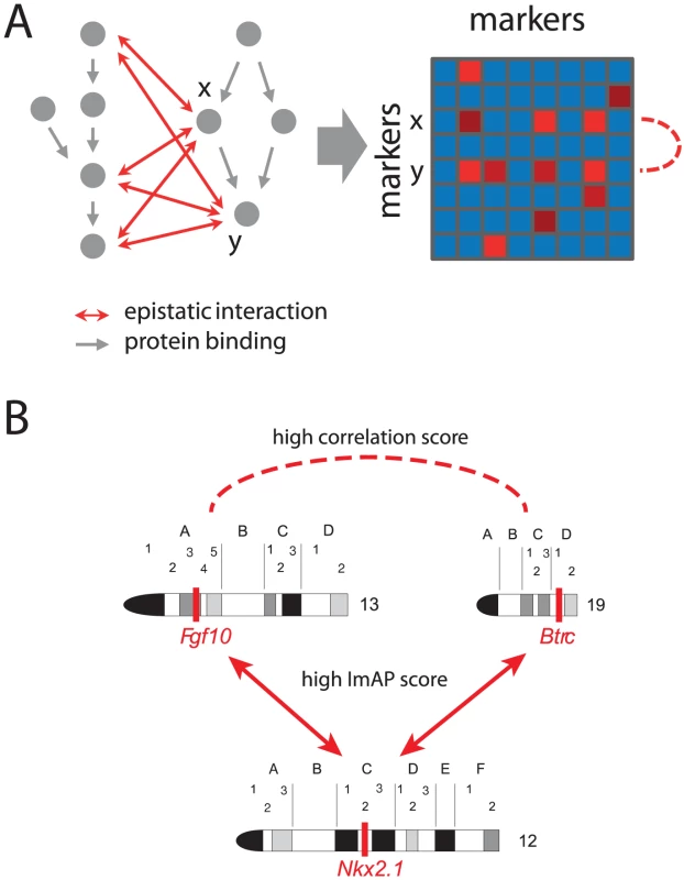 Correlated interaction profiles.
