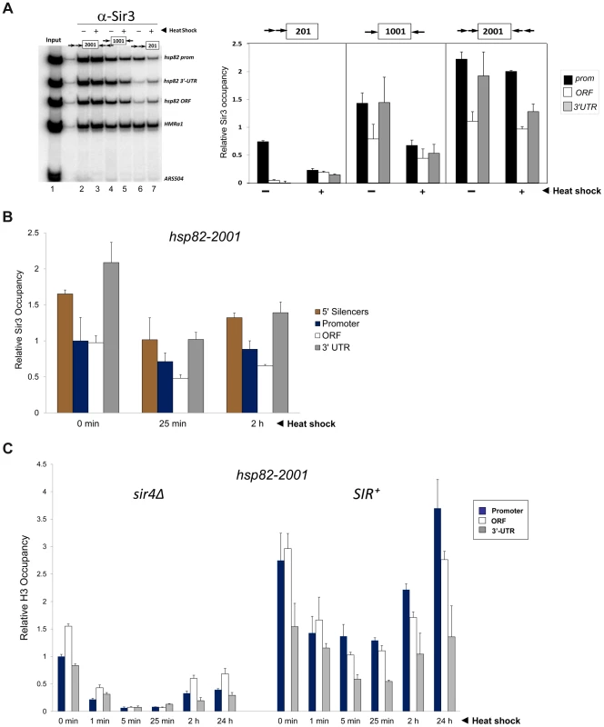 Retention of the Sir protein complex and increased nucleosome density and stability at the heat shock-induced <i>hsp82-2001</i> transgene.