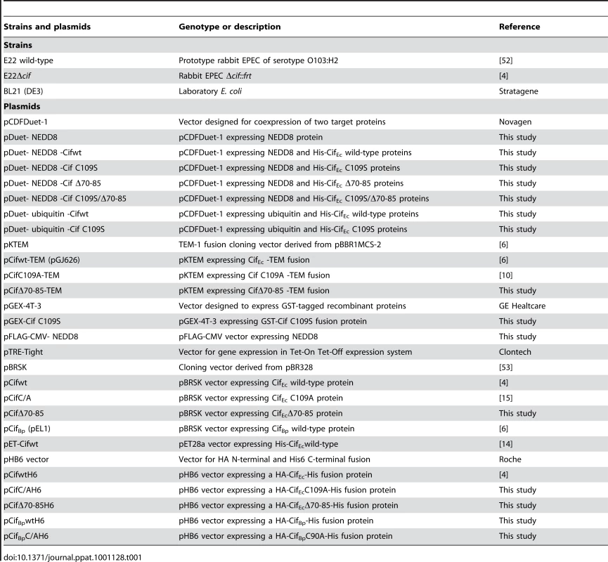 <i>E. coli</i> strains and plasmids used in this study.