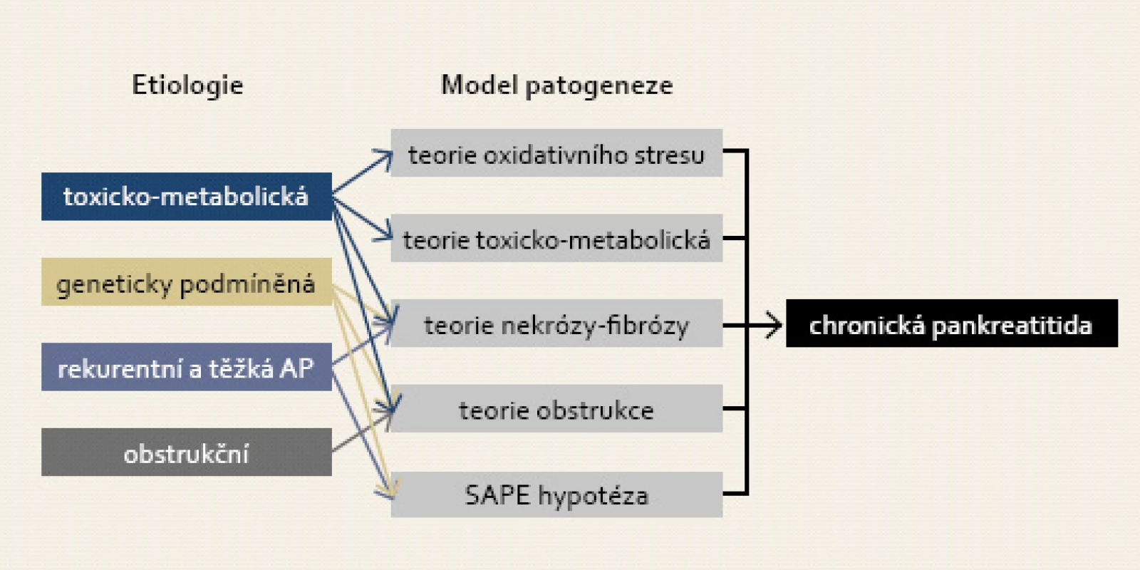 Komplexní model patogeneze chronické pankreatitidy s účastí různých patogenetických mechanizmů a jejich kombinací v závislosti na etiologii. Modifikováno dle Stevens et al [42].
Fig. 2. Complex model of pathogenesis of chronic pancreatitis presumes involvement of different pathogenetic mechanisms for each etiology. Adapted and modified from Stevens et al [42].
