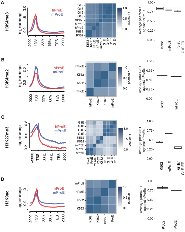 Inter- and intra-species conservation of histone modifications in orthologous promoters.