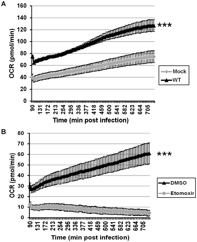Vaccinia infection is accompanied by an increase in ATP synthesis that is ablated by etomoxir.