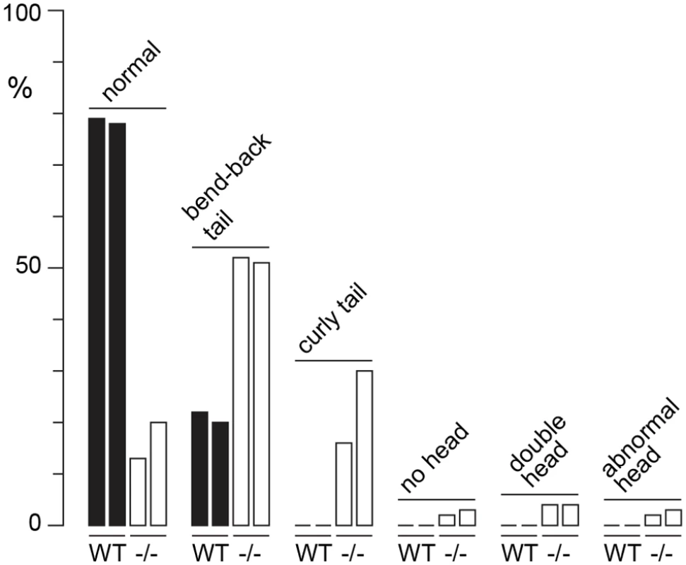 Sperm defects in <i>H3f3a</i> mutants.