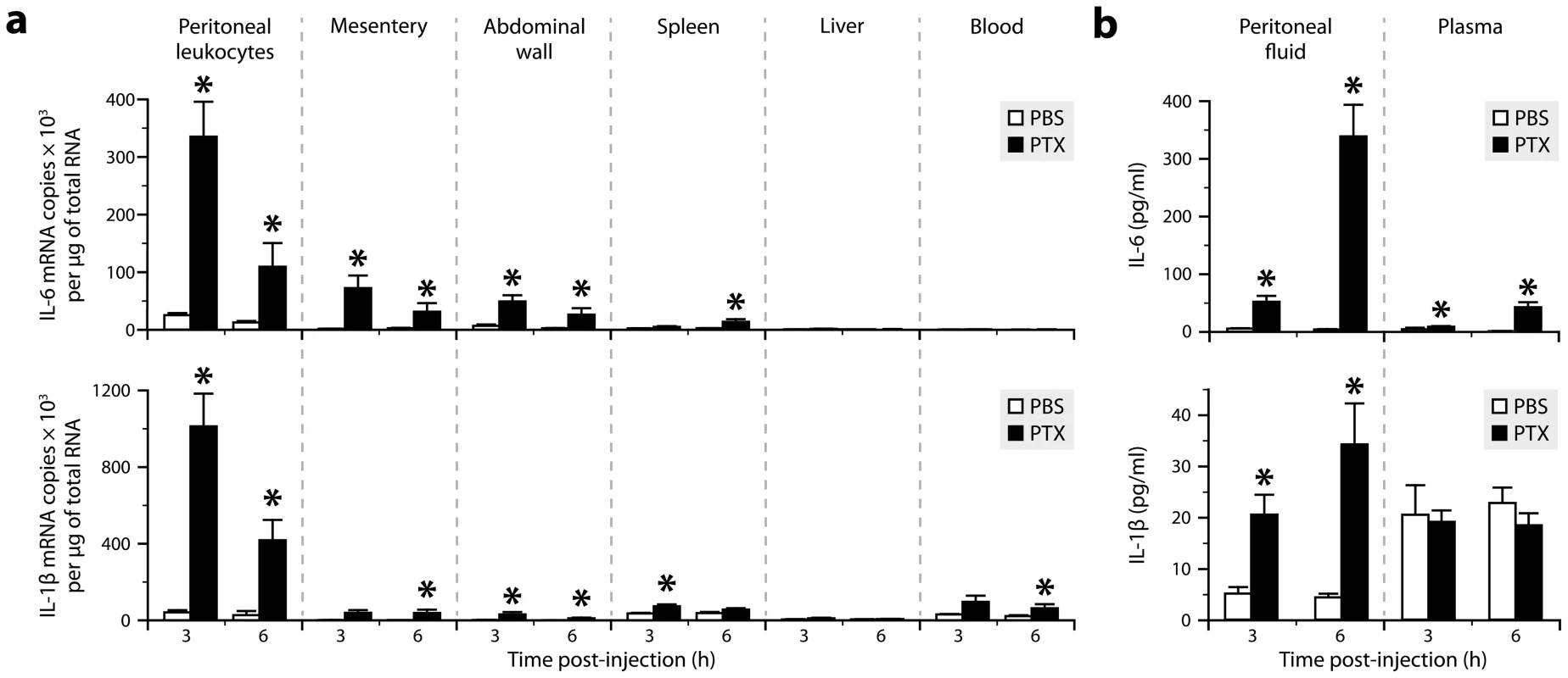Both IL-6 and IL-1β are produced in tissues exposed to PTX, but only IL-6 reaches increased levels in the circulation.
