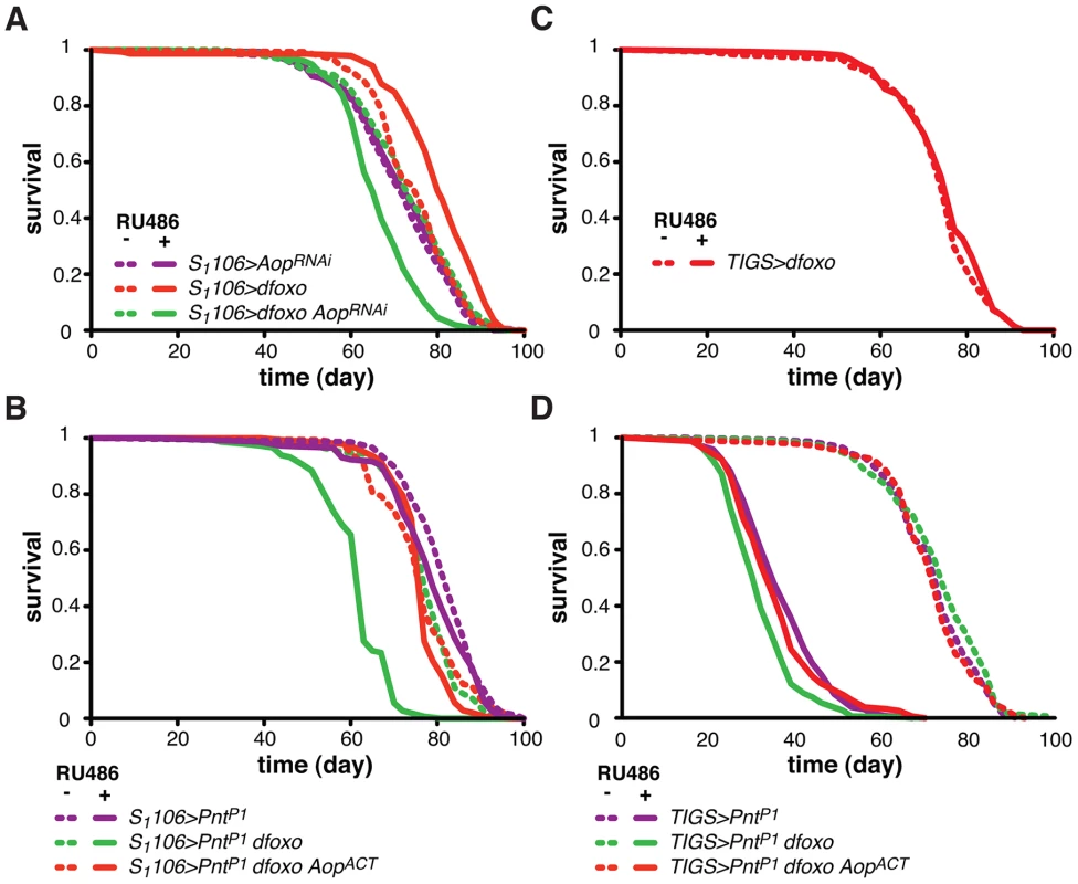 <i>Aop</i> prevents the detrimental effects of <i>dfoxo</i> and <i>Pnt</i> co-activation.