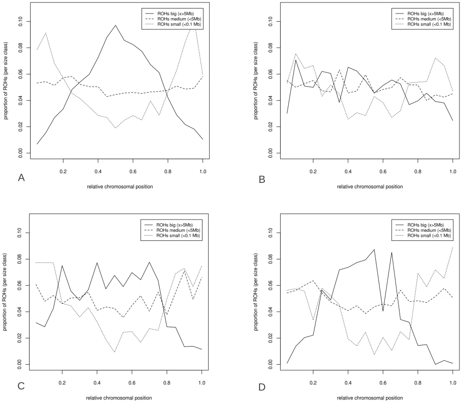Distribution of ROHs over relative chromosomal position.
