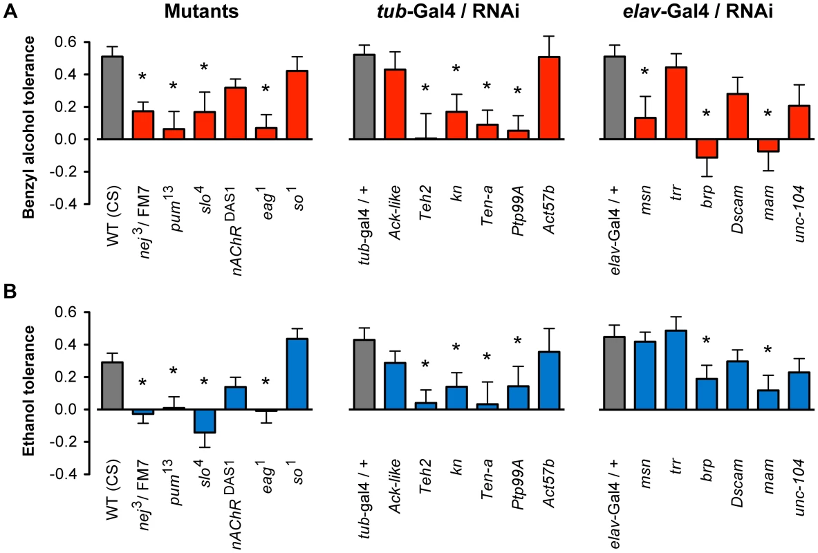 Mutant and RNAi behavioral analysis of benzyl alcohol and ethanol tolerance.