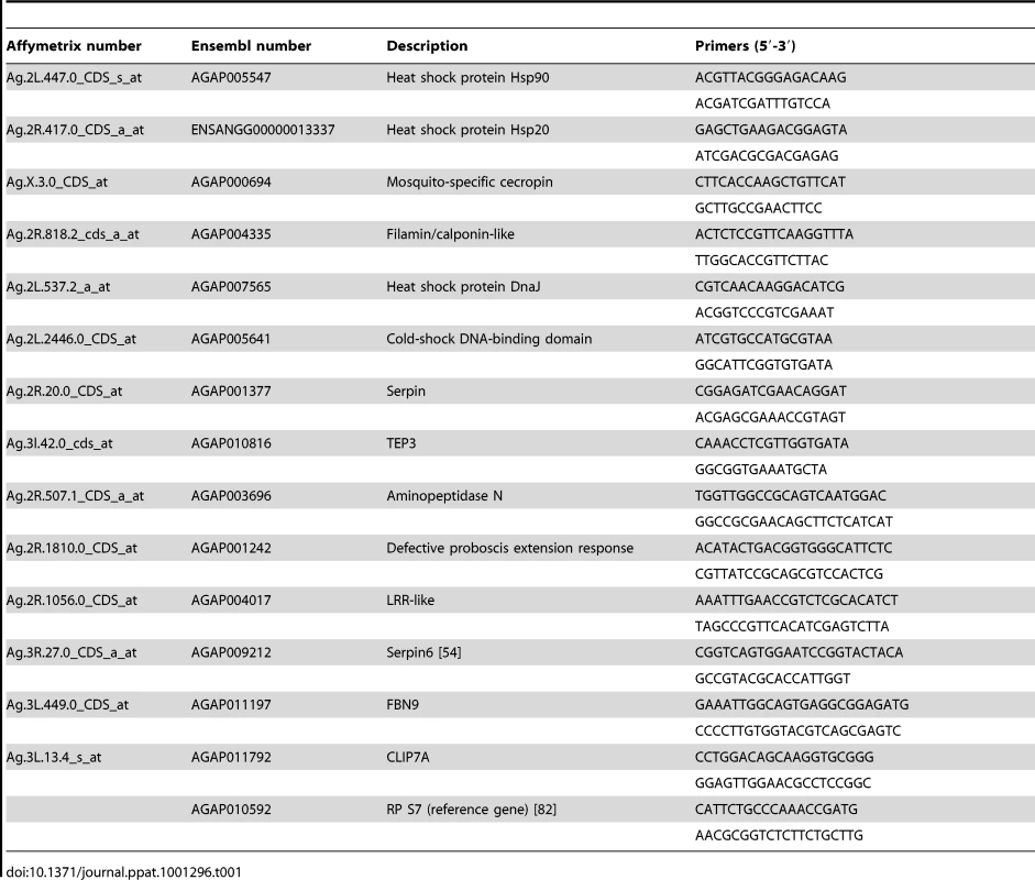 List of primers for qPCR.