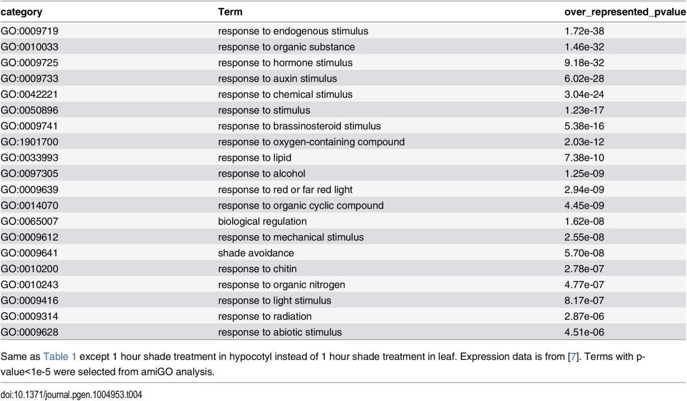 GO category analysis of 1 hour shade-responsive genes in hypocotyl.