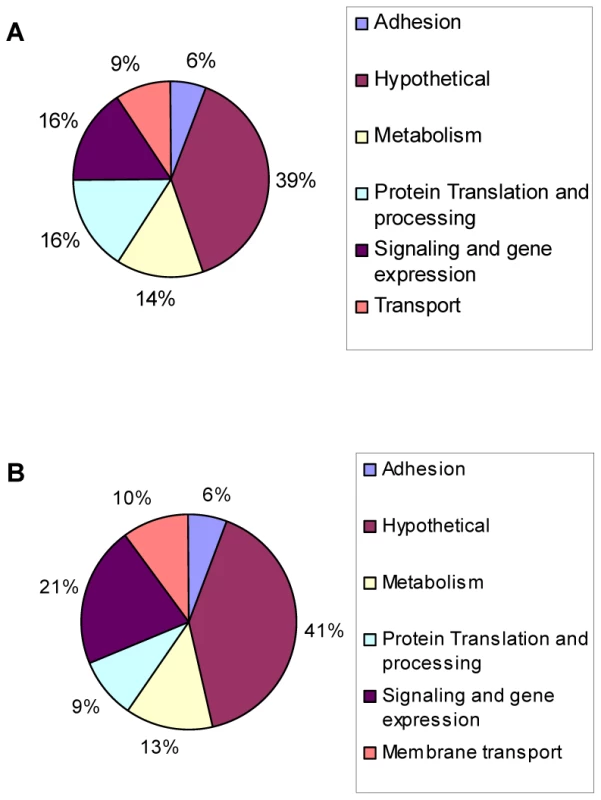 Genes modulated during alkaline pH stress in wild-type <i>Toxoplasma</i>.