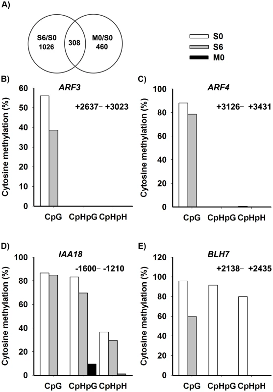 Identification of the candidate genes regulated by DNA methylation.