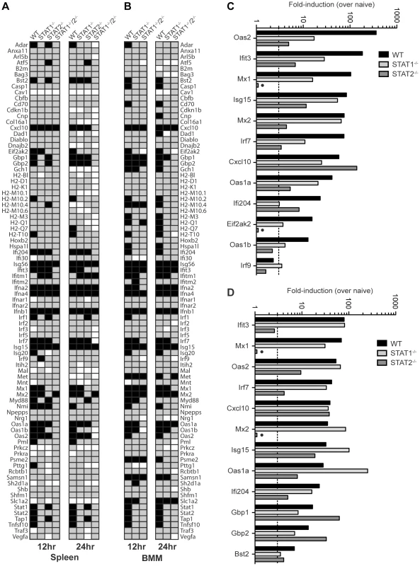 Comparison of ISG Induction in DENV-infected mice.