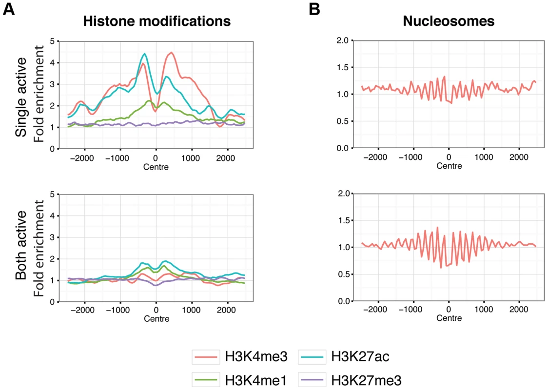 Chromatin behaviour around X chromosome sites.
