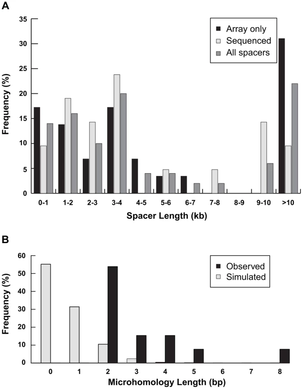 Characterization of spacers.