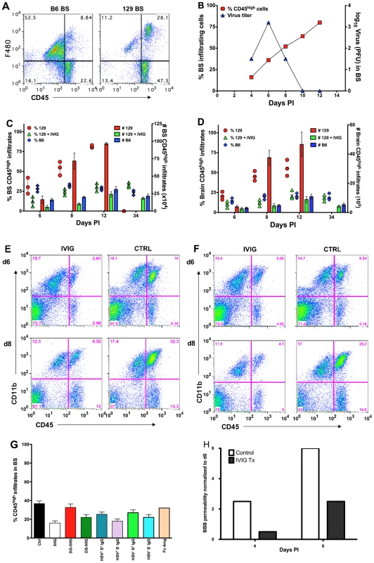 IVIG inhibits CNS inflammation in HSV infected mice.