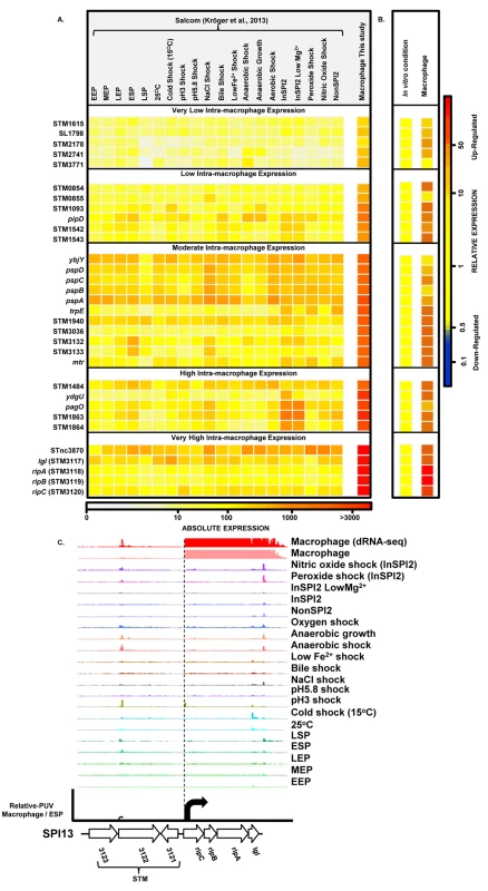 <i>Salmonella</i> genes that are specifically up-regulated inside macrophages.