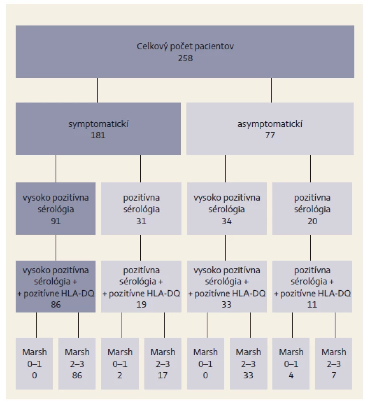 Výsledky sérológie príznačnej pre celiakiu a histologické nálezy vo vzorke pacientov.
Fig. 1. Serological results characteristic for coeliac disease and histological findings in the patient group.