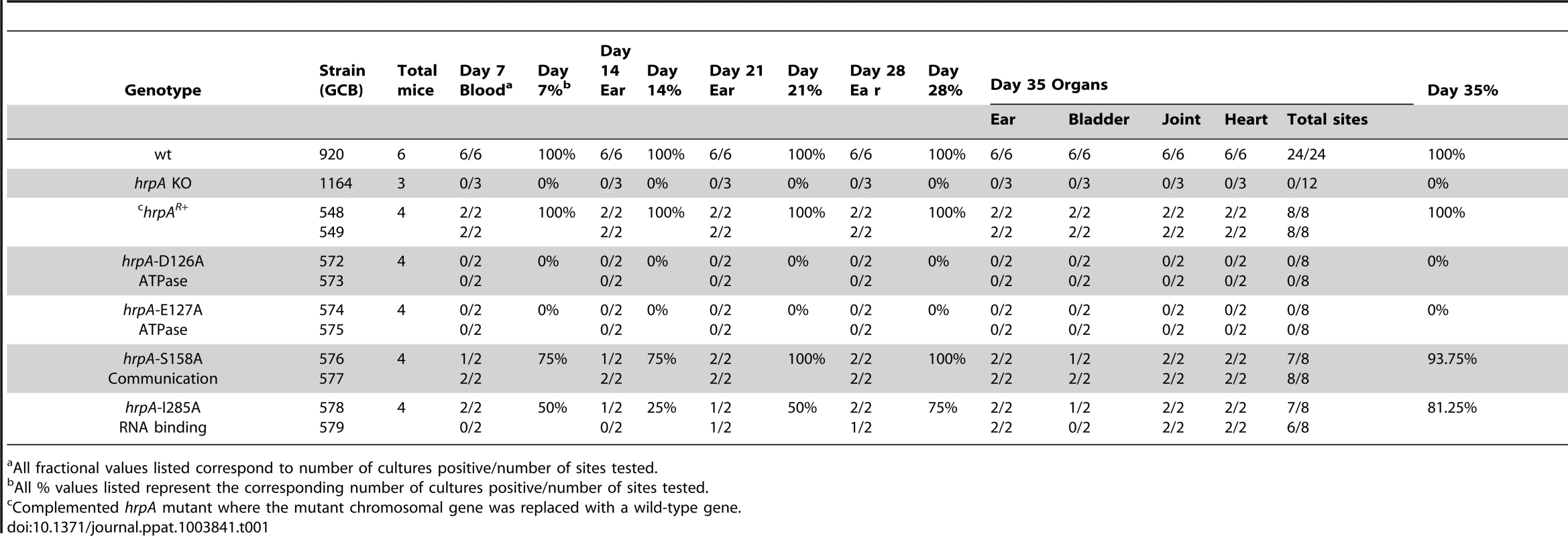 Effect of complementation and mutations in <i>hrpA</i> on <i>B. burgdorferi</i> infectivity in C3H/HeN mice.