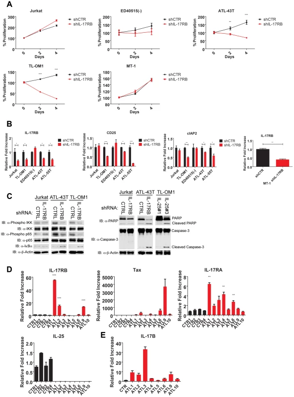 IL-17RB is essential for NF-κB activation and survival in a subset of Tax-negative ATL cell lines.